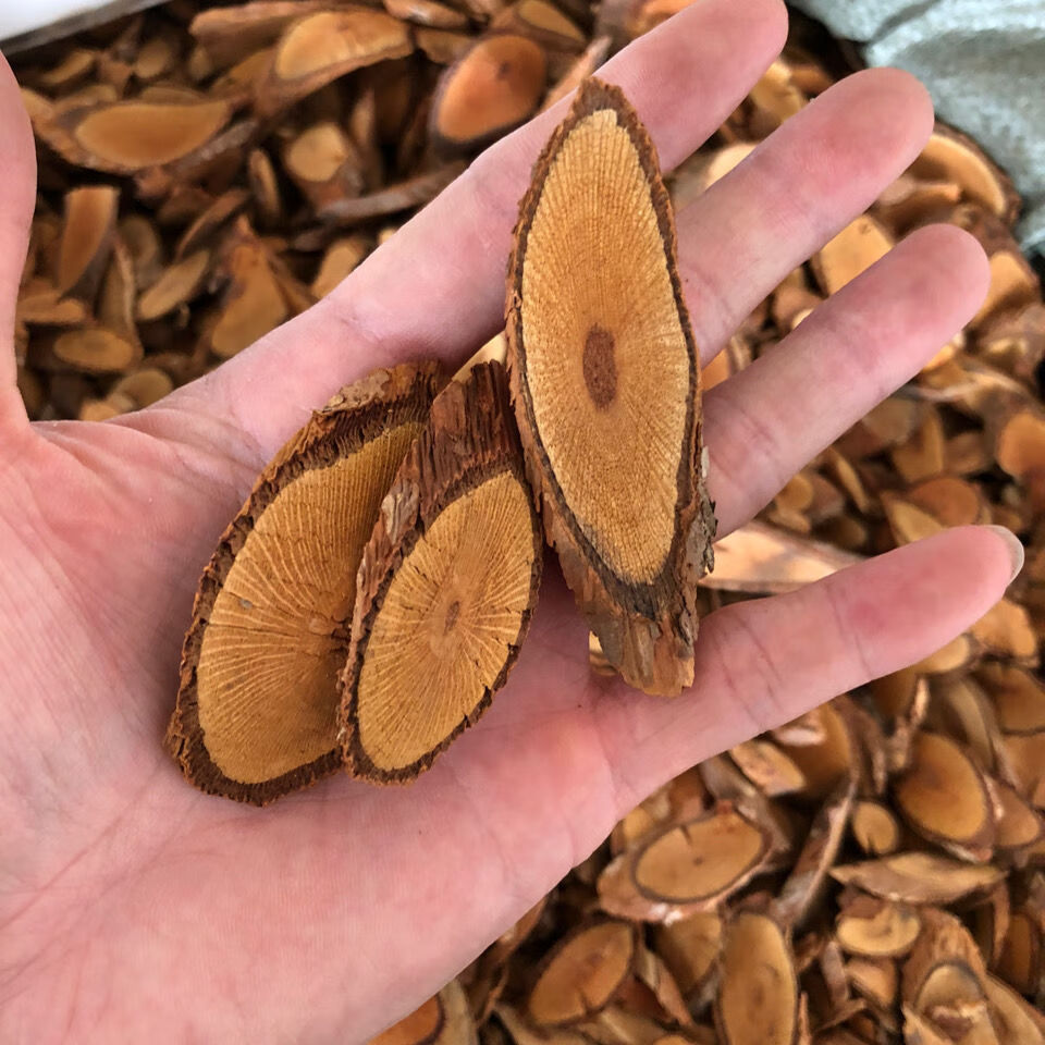 钻地风 铜皮铁骨桐叶藤利筋藤中药材500g克 500g【图片 价格 品牌