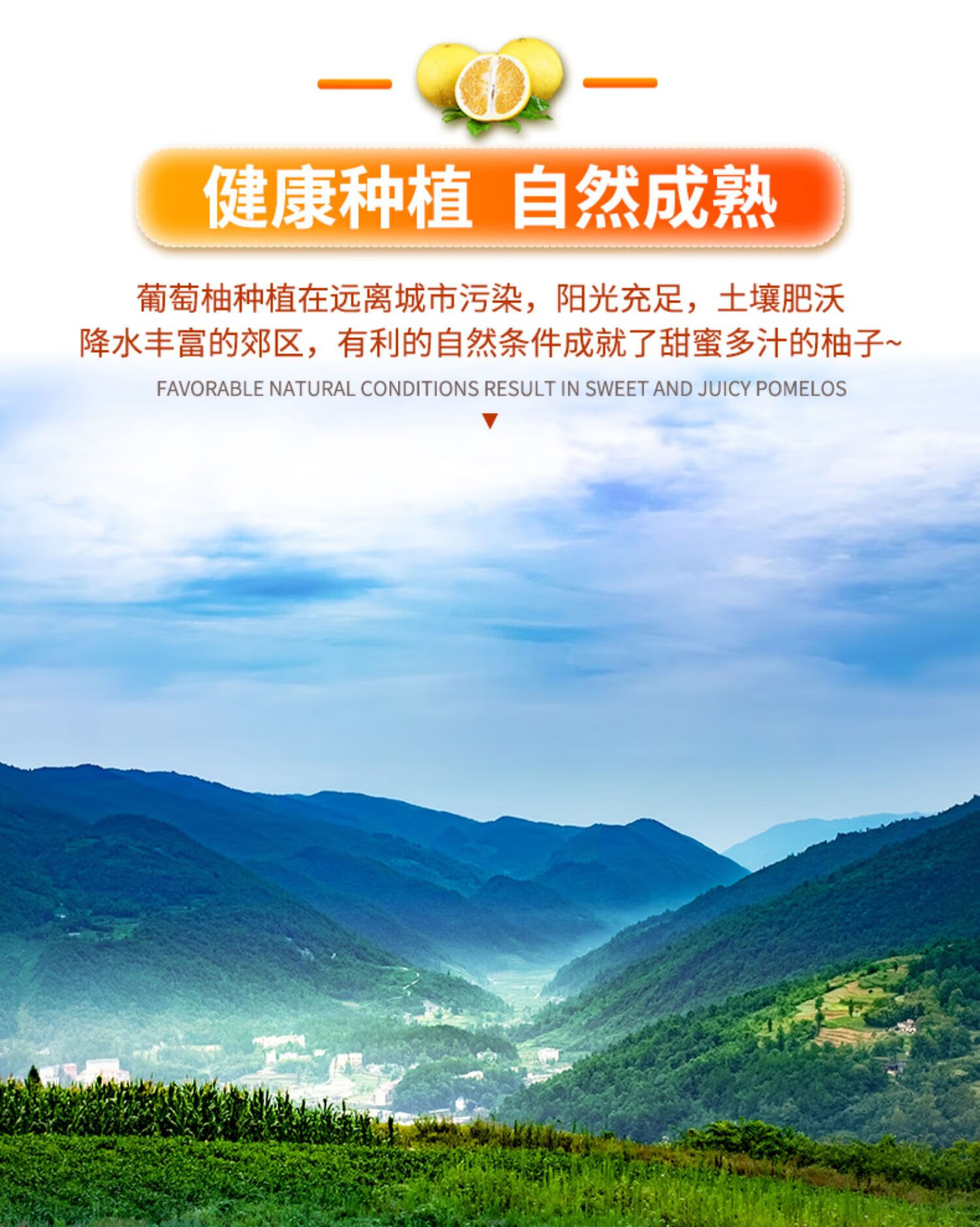 国产原产地:福建包装形式:简装种类:黄柚子品种:葡萄柚/西柚商品毛重