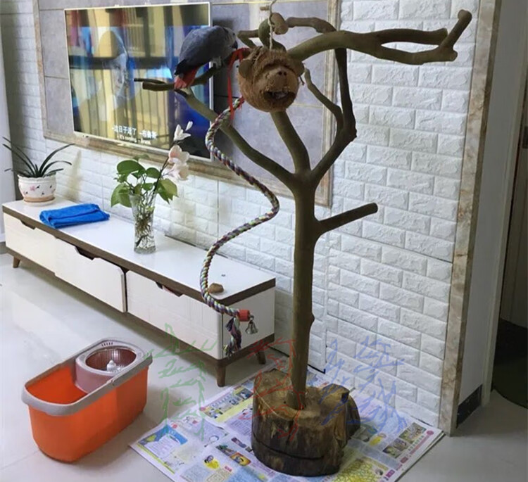 萌萌哒鸟架站杠育鸟缘鹦鹉游戏架简单鸟架八哥鹩哥站架树枝鸟架站杆站