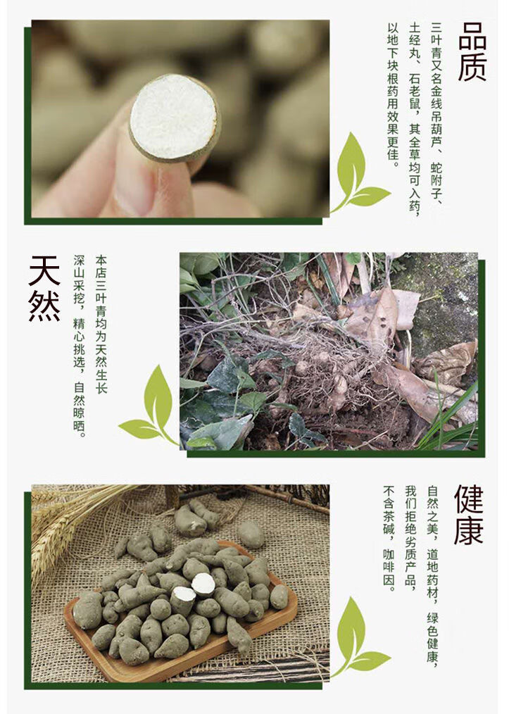 花初醒三叶青浙江三叶青金线吊葫芦三叶青粉干货三叶青草药片代切三叶