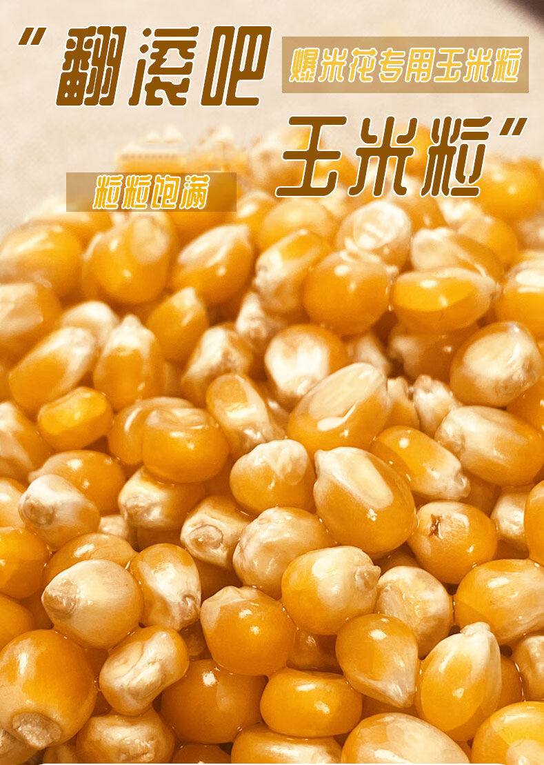新货爆米花玉米粒专用即食1斤5斤装毛重东北苞米粒爆米花原料用玉米粒