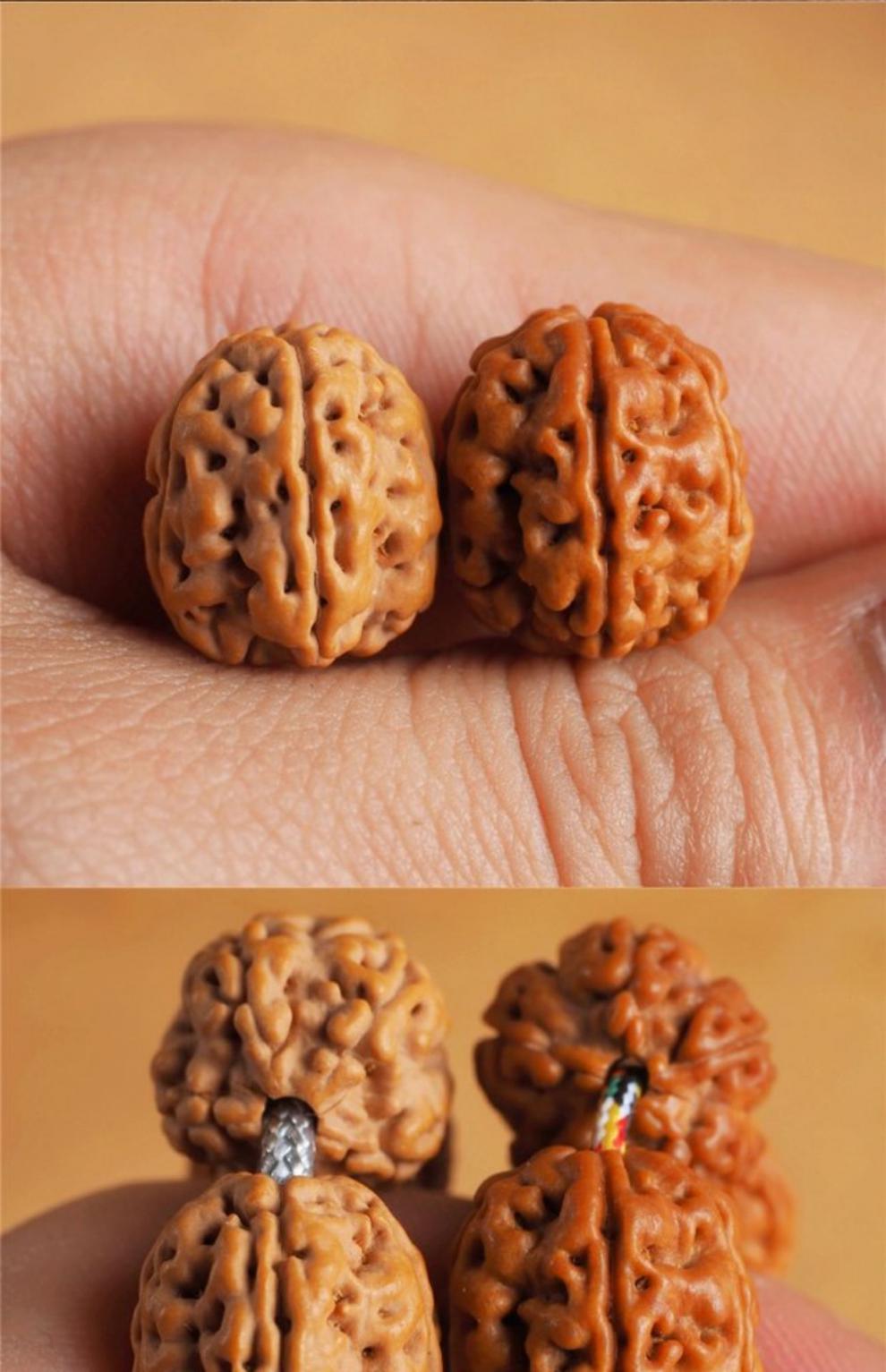 巨型菩提巨型一代盘龙纹小金刚菩提子爆肉红皮狮子头文玩手串佛珠巨型