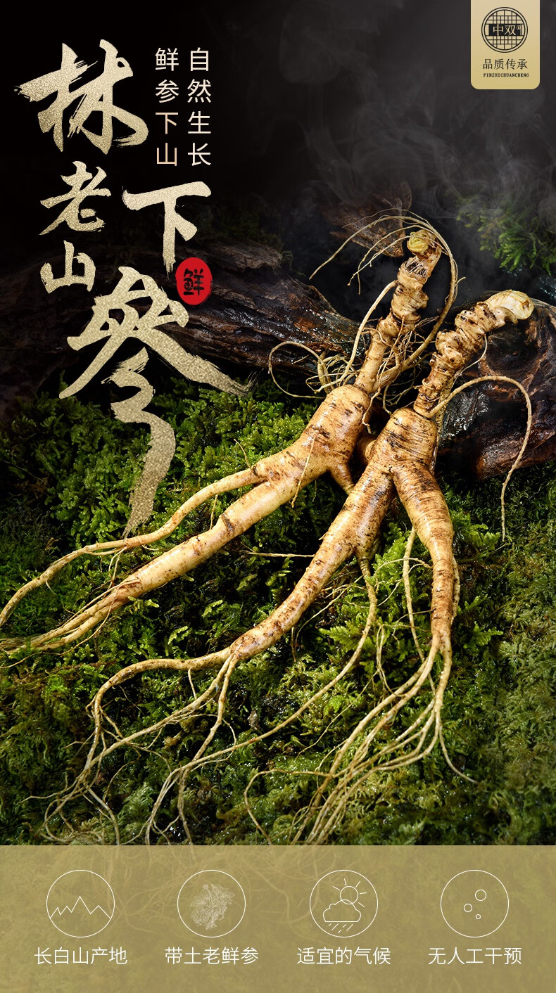 北京同仁堂鲜人参长白山野山参新鲜林下参东北人参泡酒20年整枝老山参