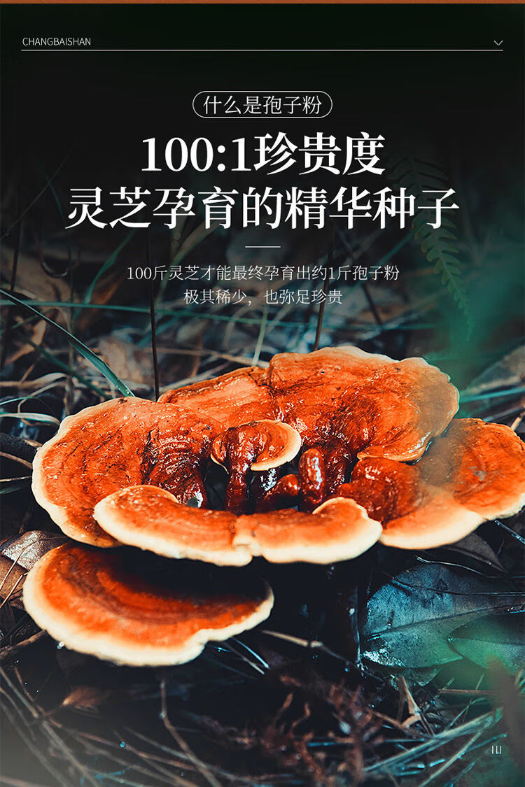 新品上市灵芝孢子粉破壁正宗野生长白山纯线油官方直营冲量瓶装50克