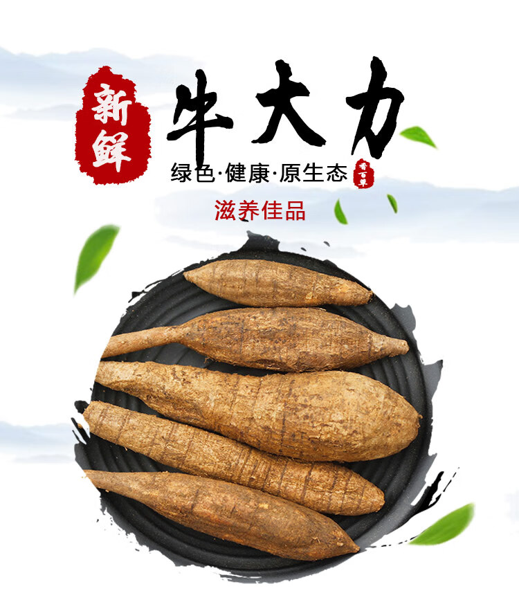 新鲜牛大力大力薯牛大力根金钟根500g泡酒配土茯苓煲汤【图片 价格
