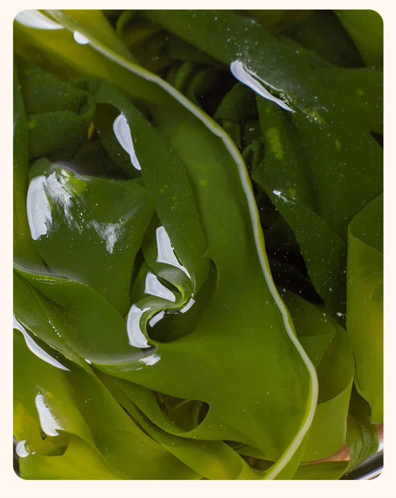海带裙带菜干货批发鲜嫩即食特级海白菜整箱凉拌盐渍火锅食材配菜