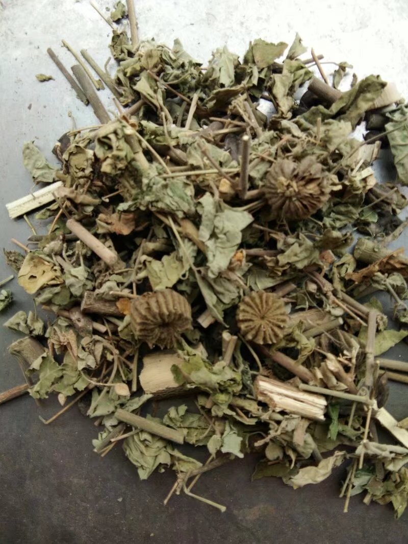 耕药堂磨盘草干货响耳草磨挡草500g顺丰加急发货