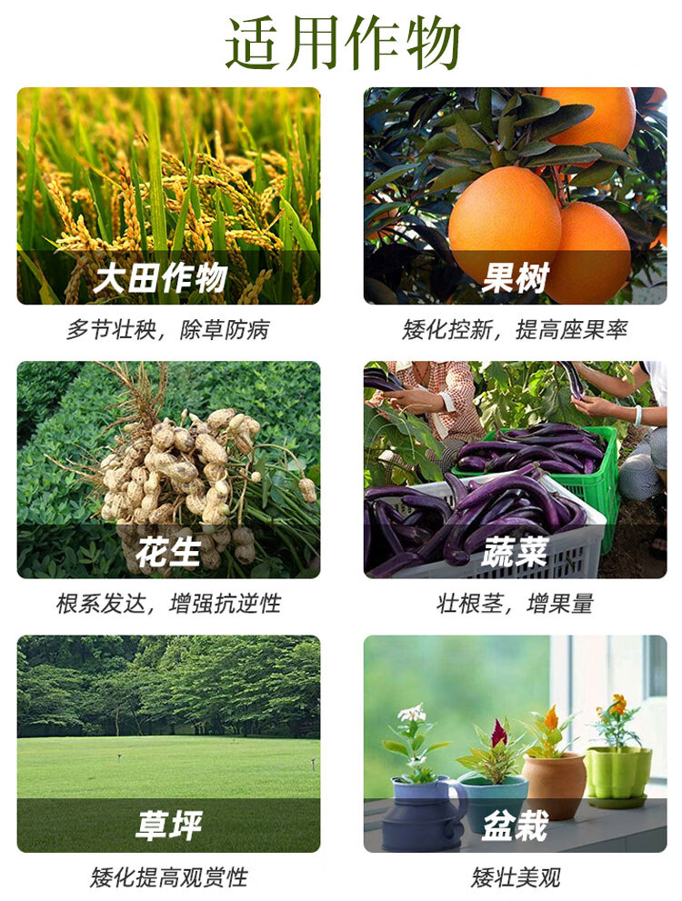 多效唑挫农药矮壮素植物控旺生长调节剂果树水仙菊花卉多肉矮胖素1000