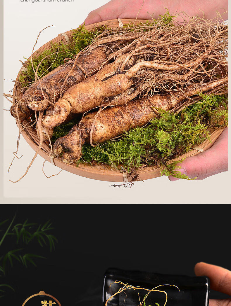 带土大鲜参吉林通化林下野山参长白山人参东北特产810年2支100克大号