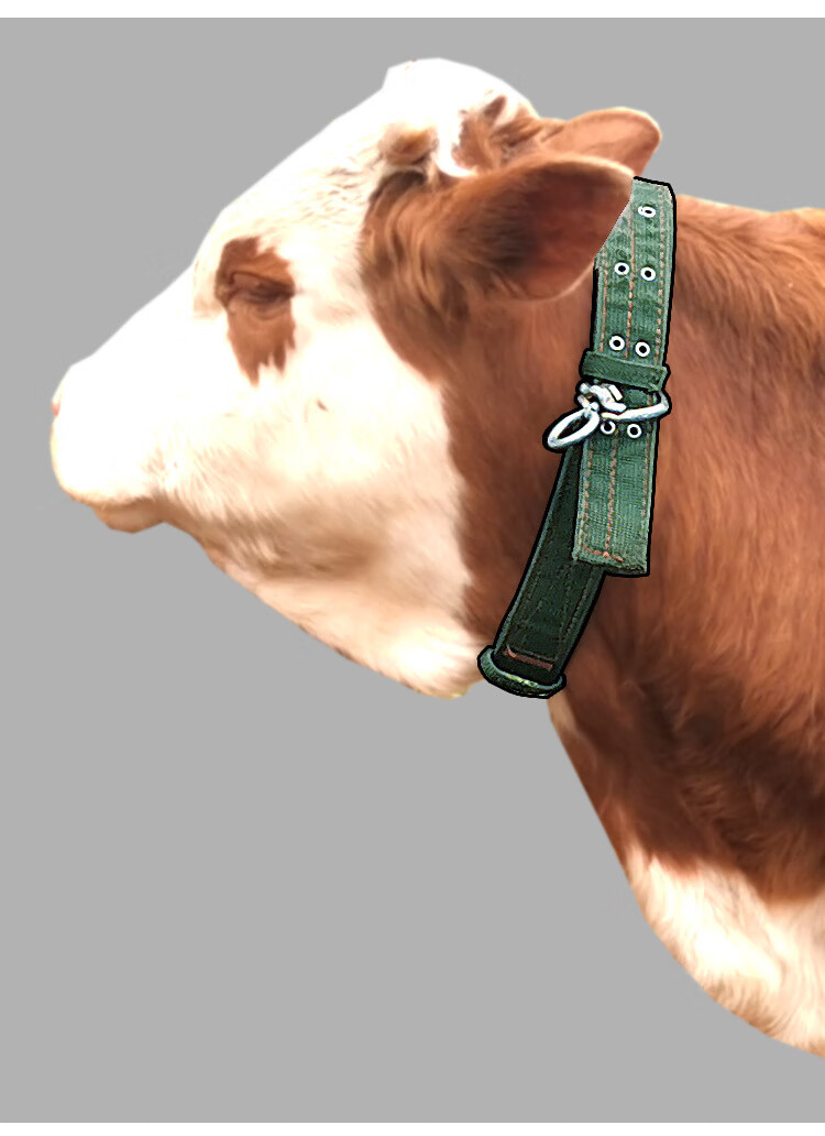 促销】 栓牛脖套扣神器项圈狗犬牛鼻环圈钳养殖羊笼头绳子拴牛的龙头