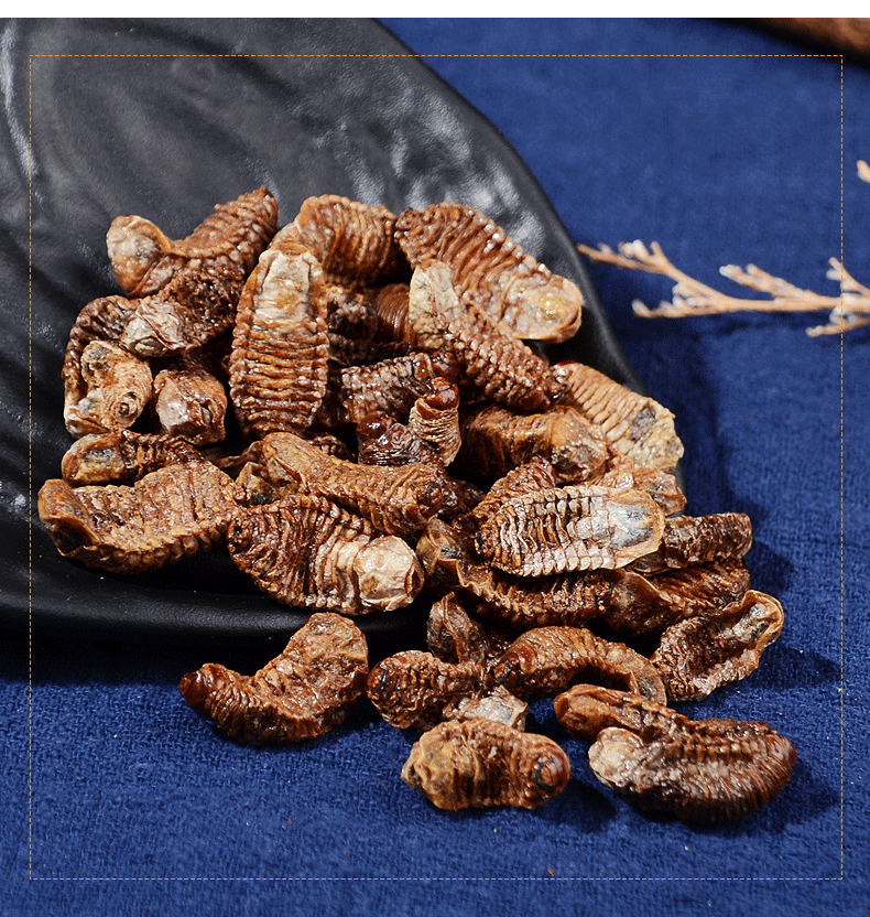 药食滋补 蛴螬散装500克鸡母虫虫土蚕老母虫白时虫【图片 价格 品牌 