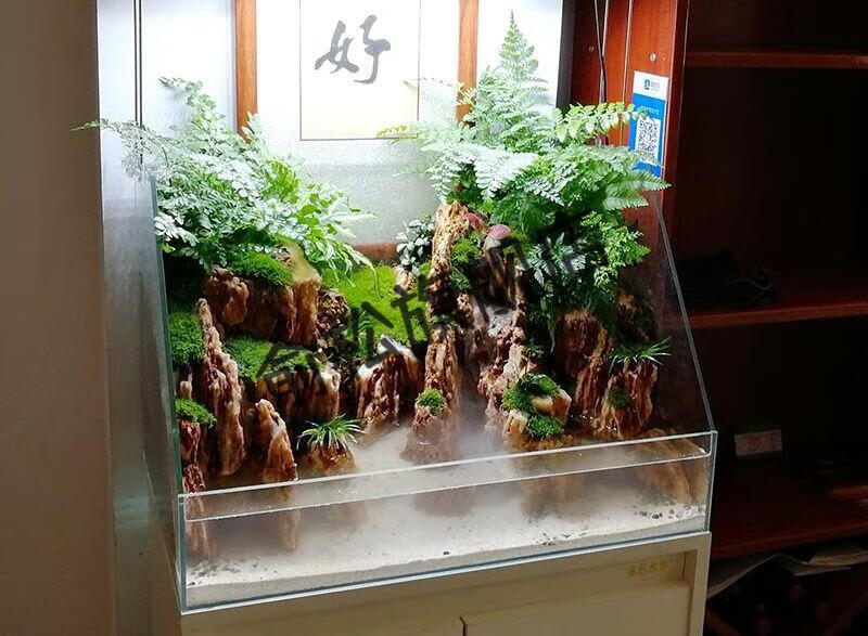 升级款生态造景雨林缸超白水陆鱼缸植物造景缸微景观斜口造景缸金晶