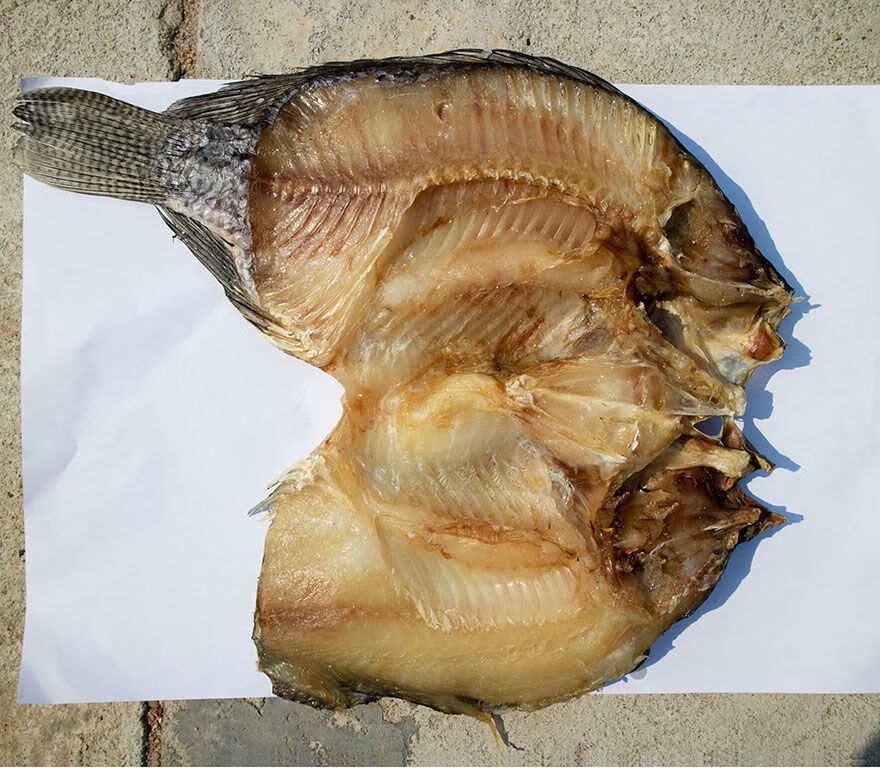 干咸鱼广东特产整条罗非鱼辣淡咸干自养风干自晒非洲鲫鱼福寿鱼500g4