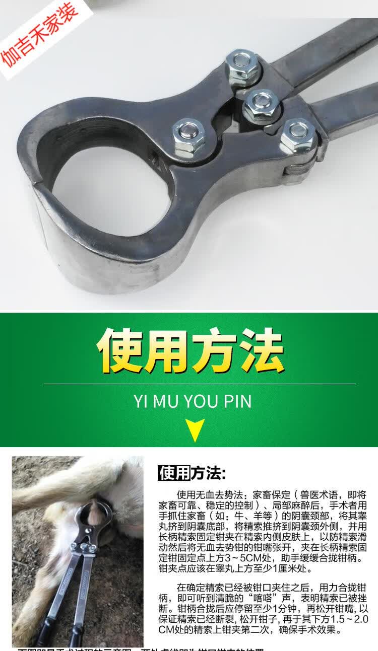 公羊去势钳无血不锈钢煽羊钳阉羊钳碳钢羊去势钳阉割钳夹蛋钳 牛用