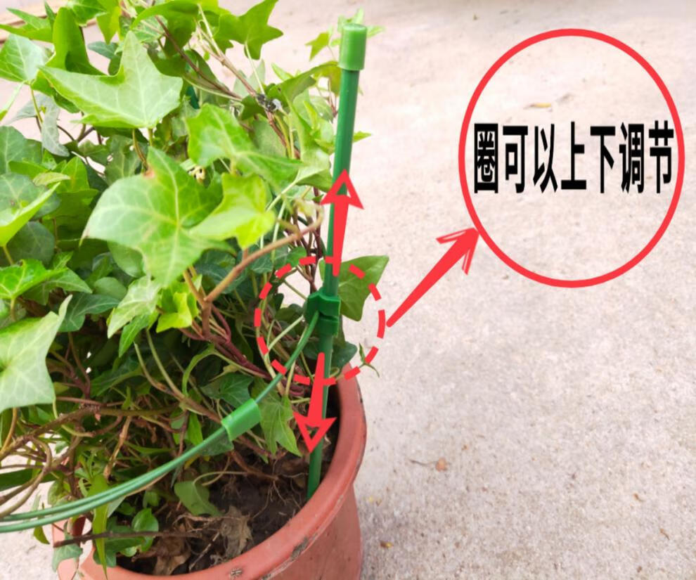 蟹爪兰支架兰花架芦荟支撑杆室内植物花架子吊兰单层花支架花架1个