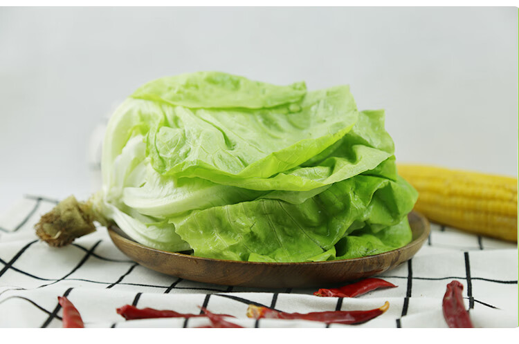新鲜奶油生菜5斤 波士顿沙拉菜 蔬菜配菜