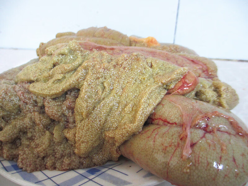 棠鲜生新鲜鱼籽纯鲤鱼鱼籽鱼卵鱼蛋鱼子3斤