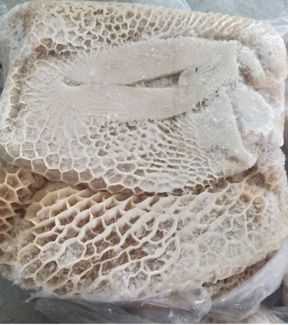 新鲜冷冻牛肚牛蜂窝肚牛金钱肚不水发无任何添加调理顺丰4斤真空包装