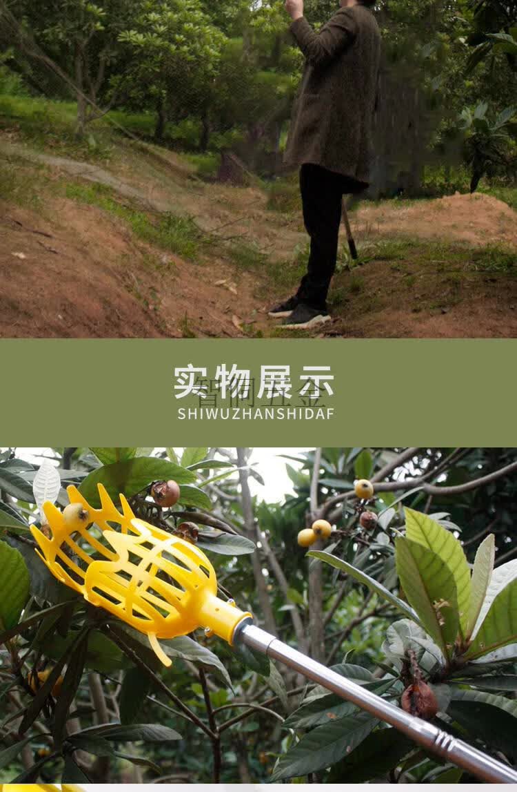 定做高空采摘器可伸缩3米杆摘果器摘杨梅神器采樱桃李子水果工具10件