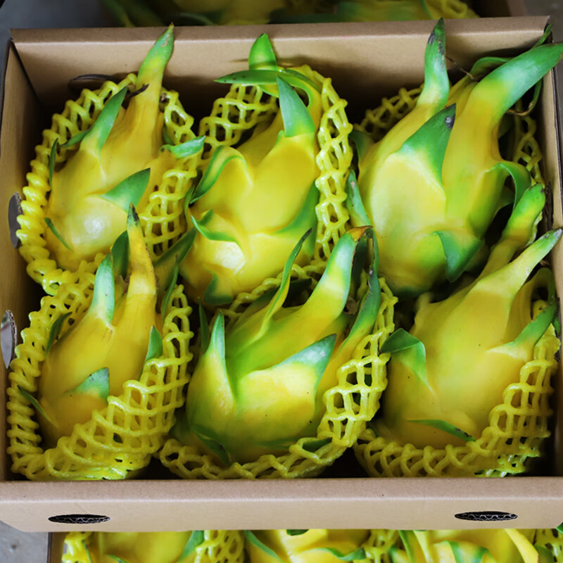无刺黄龙火龙果当季新鲜燕窝麒麟果黄皮白肉热带水果5斤整箱 2500g 大