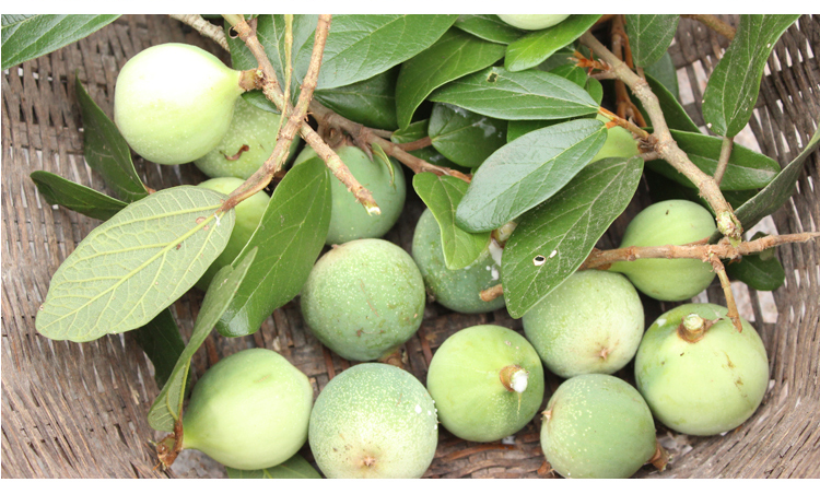 花姬 冰粉籽凉粉籽手搓玉籽冻冰粉原料木莲木莲籽100克爱玉子 一斤500