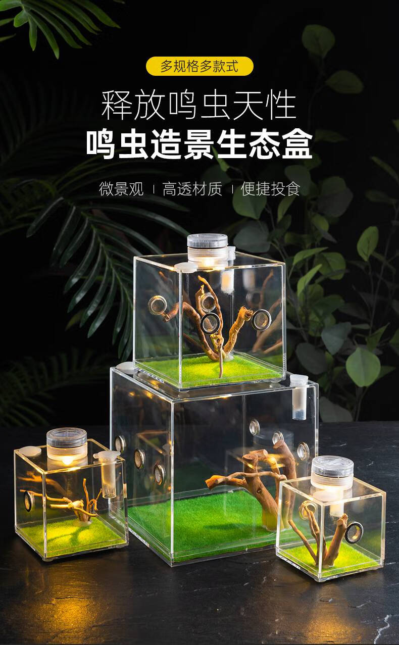 昆虫生态盒 鸣虫生态饲养盒昆虫跳蛛亚克力饲养箱造景装饰高清小型