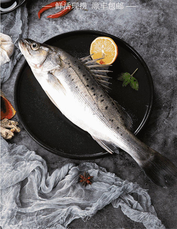 新鲜海鲈鱼海鲜水产冷冻深海鱼花鲈鲈板七星鲈鱼新鲜海鲜海鱼六斤装共