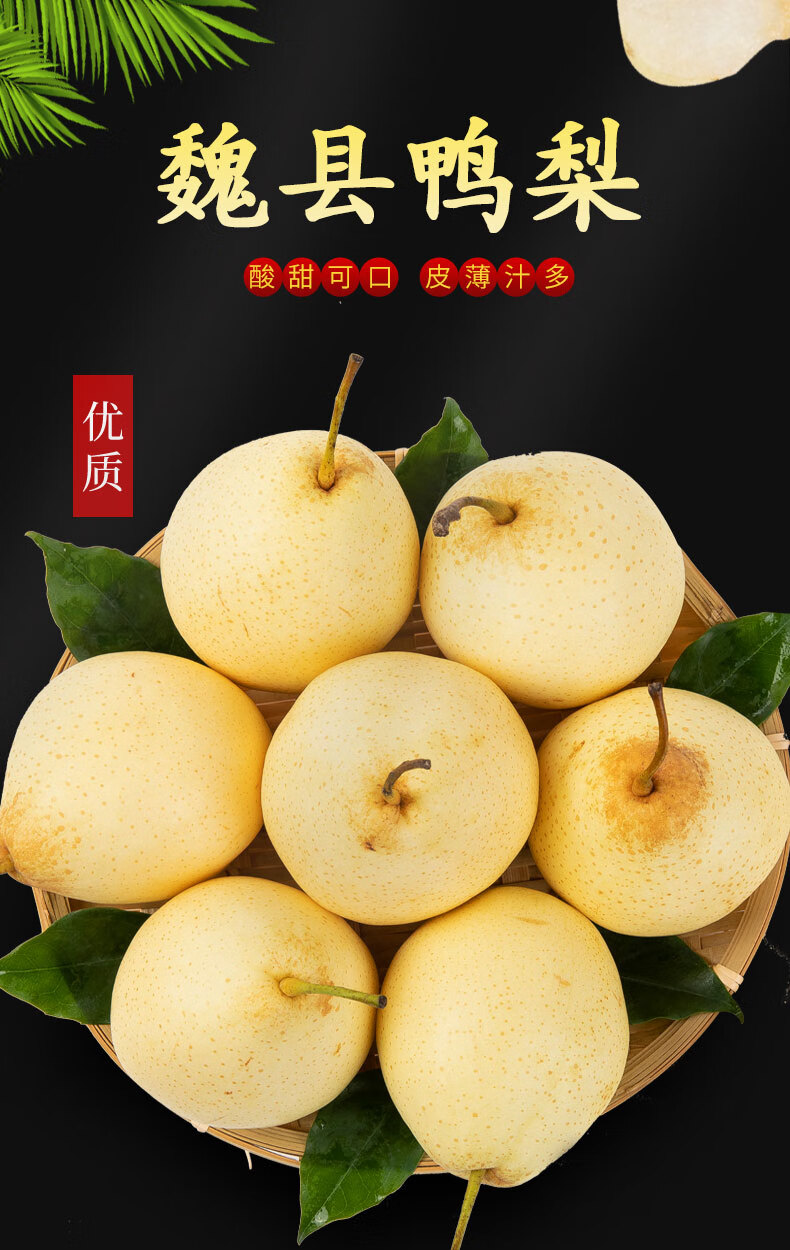 魏县水晶鸭梨河北鸭梨脆甜香梨新鲜白梨子当季整箱水果送礼10斤精选大