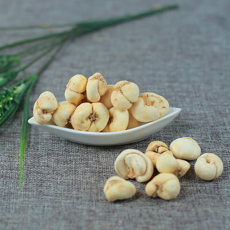 同仁堂浙贝母500g浙贝大贝母个象贝贝母粉500g