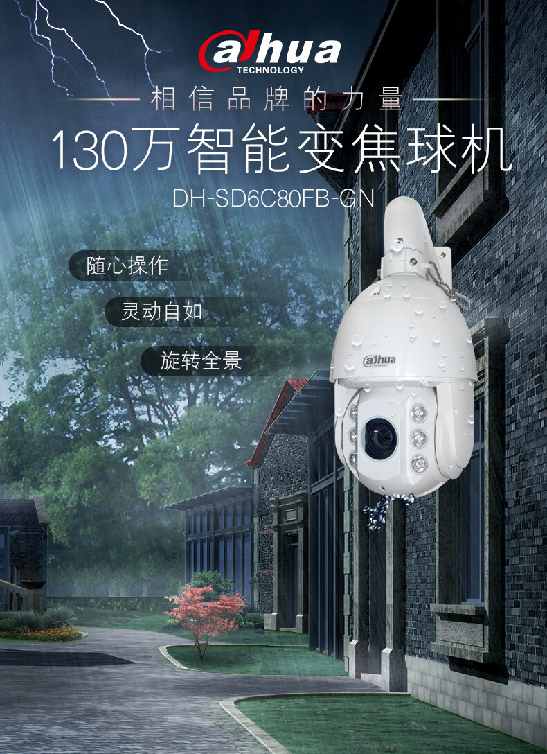 dahua大華室外球機 130萬20倍變焦高速360度卡存儲監控攝像頭dh-sd6