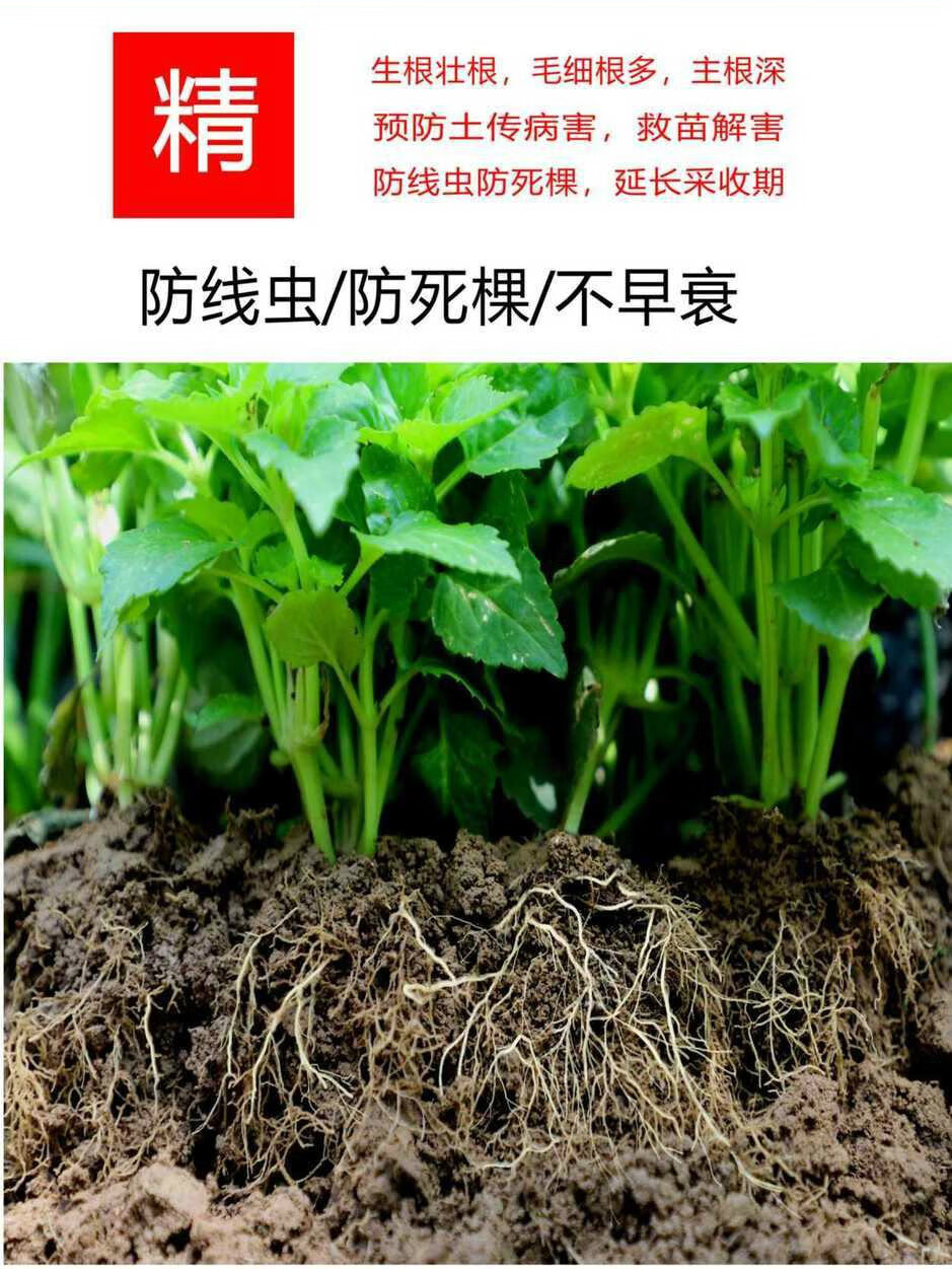 芊阙根多多生根剂根多多叶面肥生根壮苗花卉果树蔬菜强力生根剂扦插