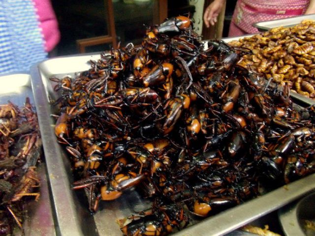 竹象虫 山珍美味烧烤美食吃400克 云南特产竹虫 竹笋虫香脆 400克