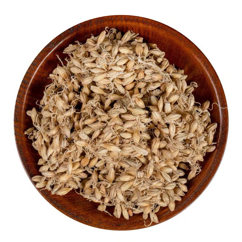 北京同仁堂生麦芽中药材500g克大麦芽泡水麦芽谷芽熟麦芽