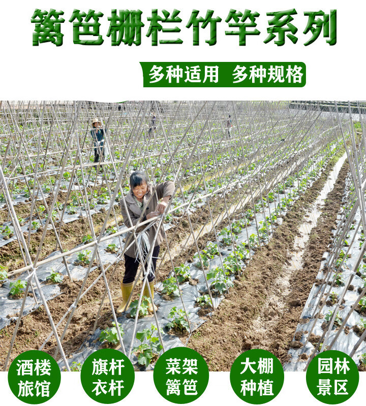 竹竿菜园搭架蔬菜黄瓜番茄豆角架杆竹篱笆栅栏小竹子细竹竿爬藤架蓝