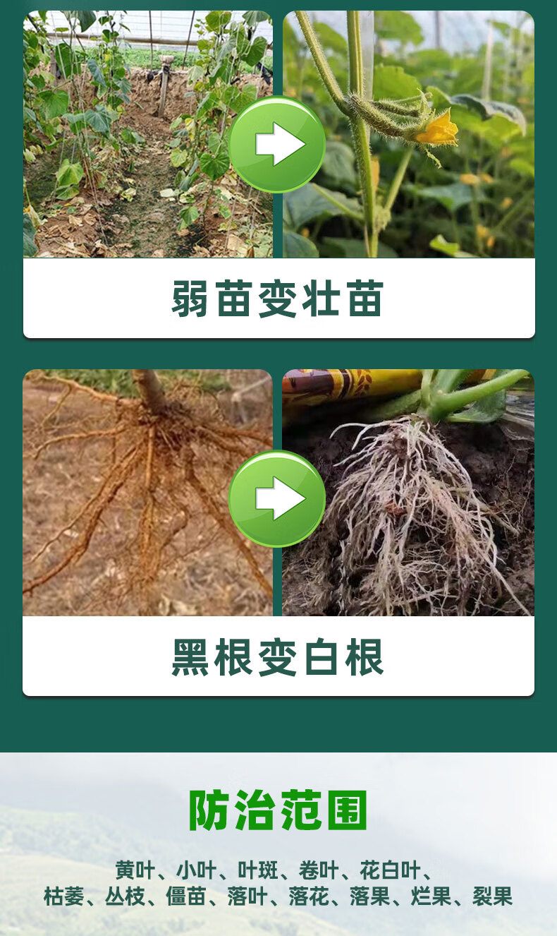 一喷绿植物生长平衡液果树专用微量元素氨基酸叶面肥花卉蔬菜通用250