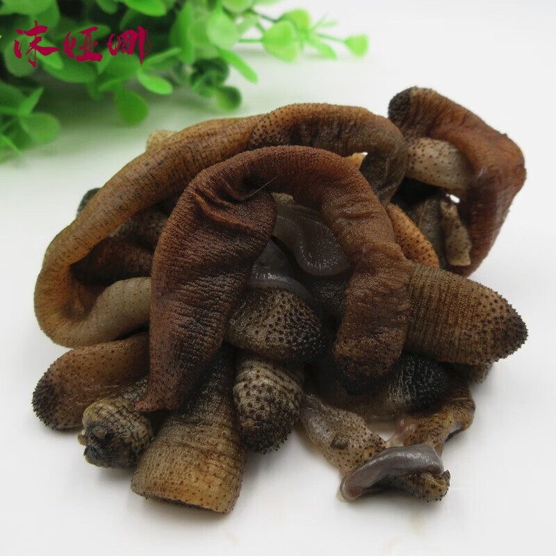 sf500g*2福建莆田特产生鲜土笋沙虫小吃土笋冻食材下酒菜宓蝶 食材下