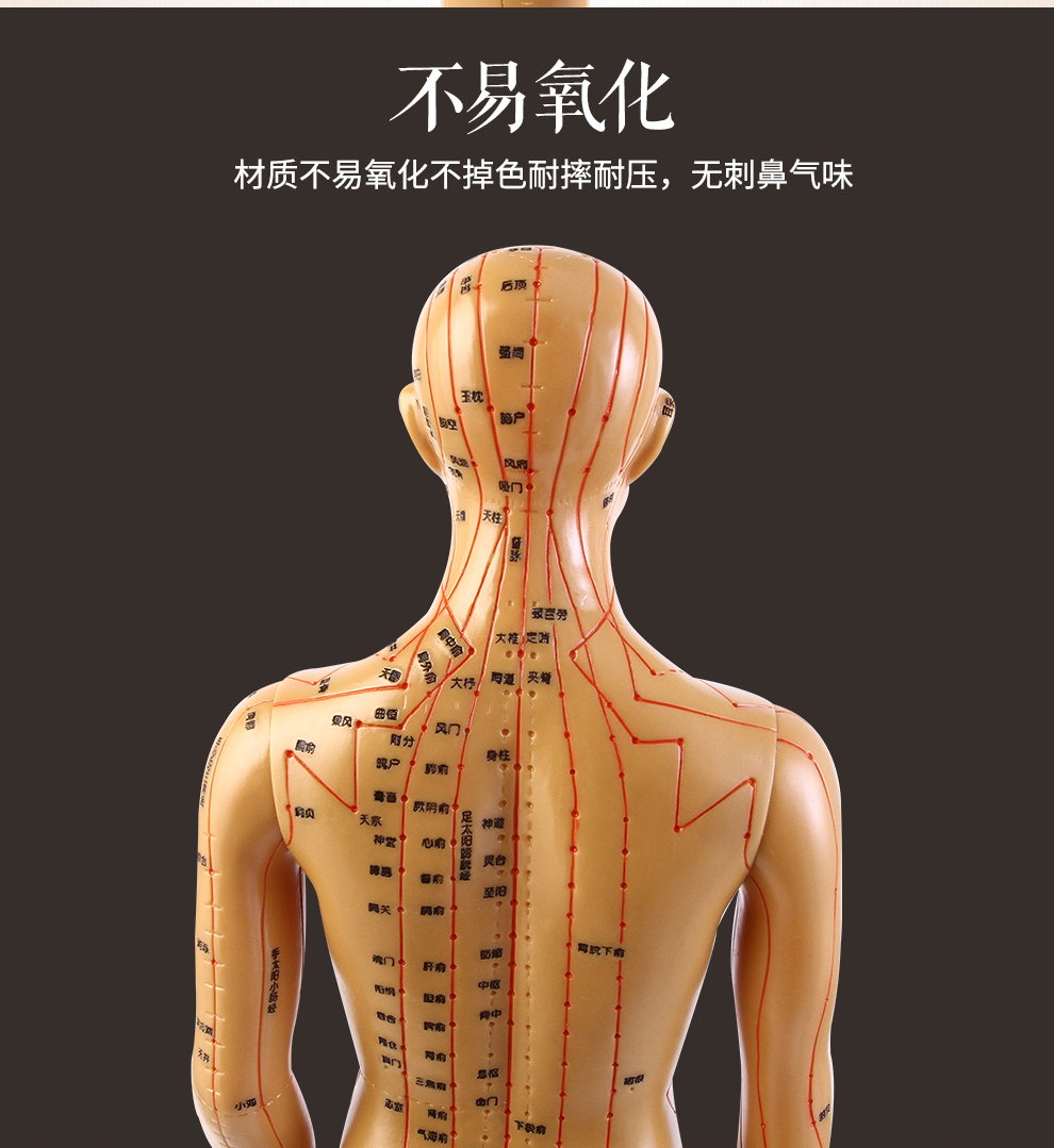 国产/进口:国产适用部位:全身类别:针灸模型商品毛重:1.