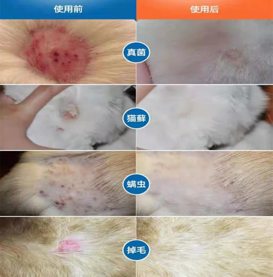 oimg维克药浴宠物药浴猫狗止痒猫癣脓皮异位皮炎脱毛皮肤病 爱乐美