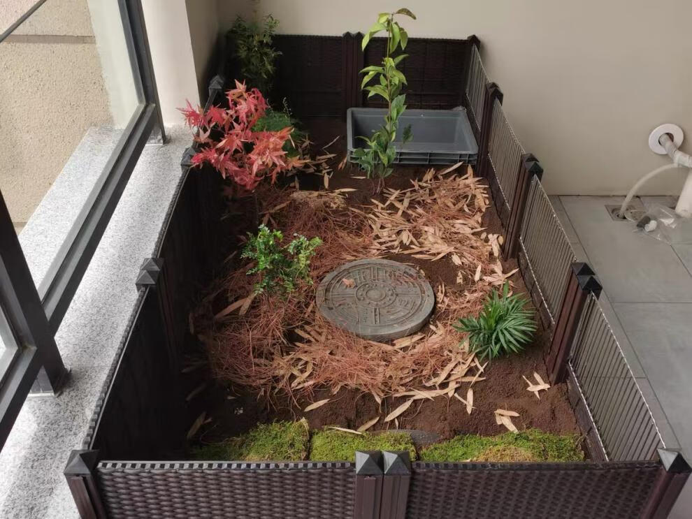 黄缘龟饲养箱安缘台缘闭壳半水龟专用生态造景植物环境养殖乌龟缸双排