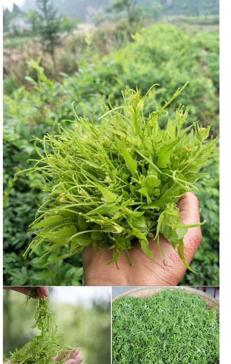 藤茶富硒莓茶恩施滕茶霉茶龙须小稀凤腾茶天子来凤 藤茶龙须碎茶一斤