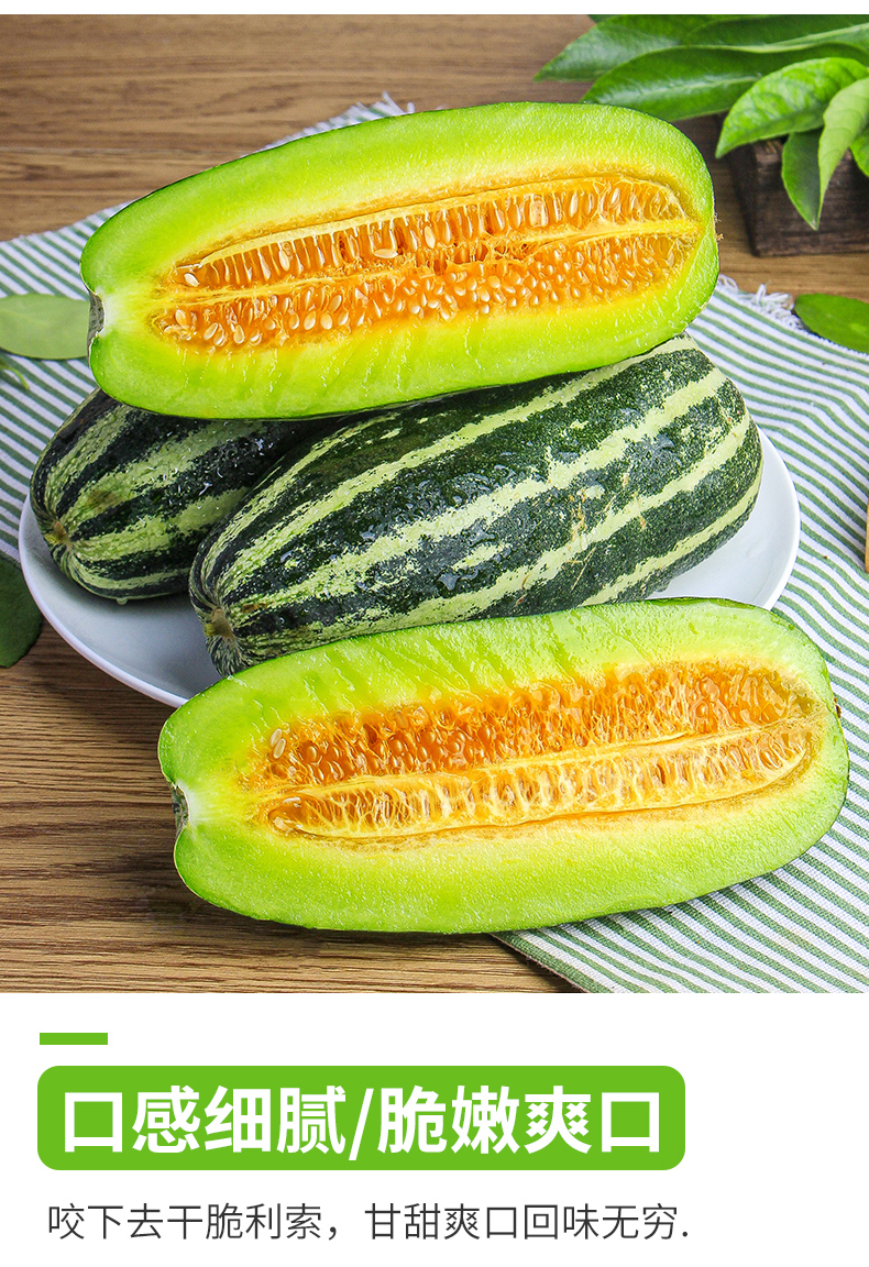 山东网红头茬博洋9号甜瓜 新鲜大果香瓜羊角蜜当季水果绿宝小蜜瓜 8斤
