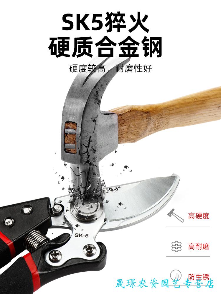 d246ebc1f4c2a80e.jpg