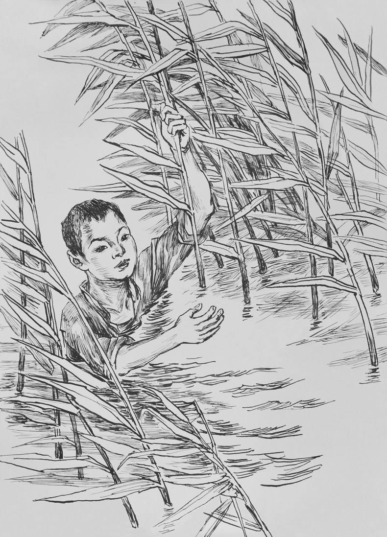 小英雄雨来 店长推荐书小学语文教材六年级上册 "快乐读书吧"书目精选