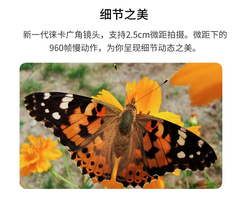0f2d3bc9547a410b.jpg