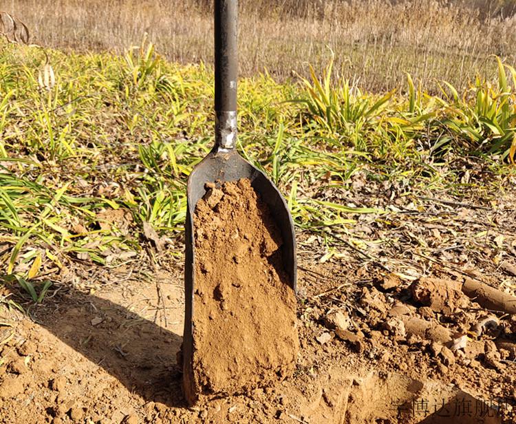 挖山药工具工程专用锰钢洛阳铲取土器挖坑挖洞山药探铲考古勘探工具打