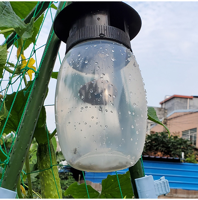 果蝇诱捕器果园菜园瓜果农业物理除虫针蜂果蝇诱捕剂害虫捕抓器 果蝇
