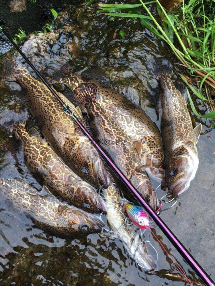 翠鸟路亚竿榜大锥高感度虫杆快钓鳜鱼富士导环a环ul微物轻l26米mh枪柄