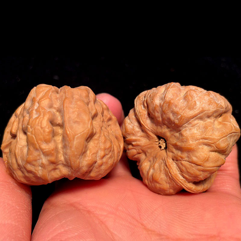 山中玉 文玩核桃 蛤蟆头 金蟾蛤蟆背 延庆麻核桃野生手把件手盘古玩核