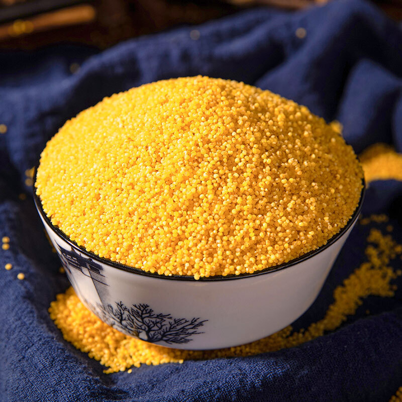 山西黄小米晋谷21号5斤小米粥2020年新米特产小米杂粮粗粮五谷