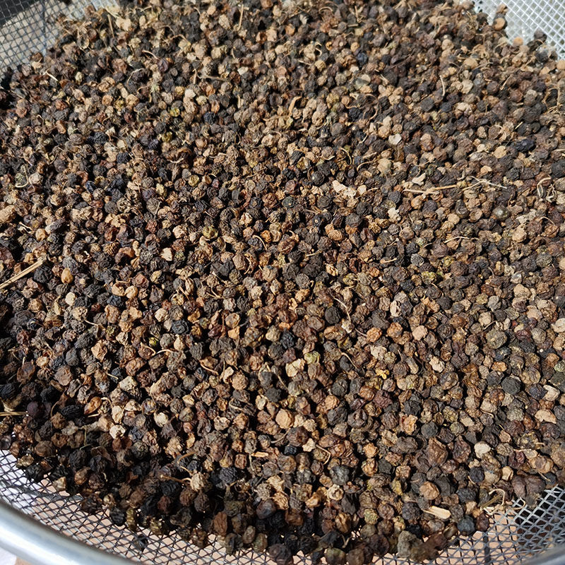 龙葵果干东北龙葵子中药材野生干龙葵果实天茄子野葡萄悠悠无添加 干